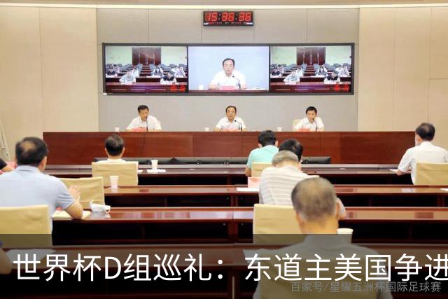 世界杯D组巡礼：东道主美国争进8强 土耳其巴拉圭澳洲混战